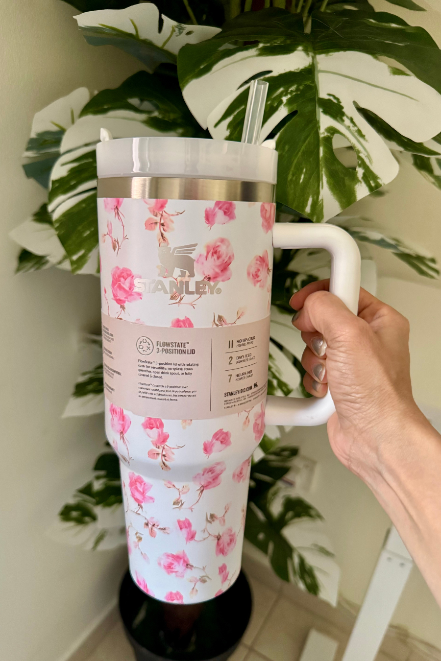 Water Bottle & Stanley Cups